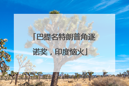 巴提名特朗普角逐诺奖，印度恼火