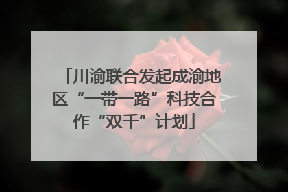 川渝联合发起成渝地区“一带一路”科技合作“双千”计划