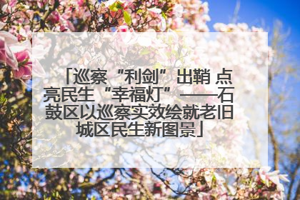 巡察“利剑”出鞘 点亮民生“幸福灯”——石鼓区以巡察实效绘就老旧城区民生新图景