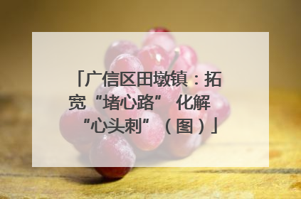 广信区田墩镇：拓宽“堵心路” 化解“心头刺”（图）