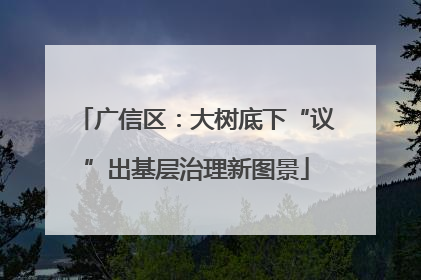 广信区：大树底下“议”出基层治理新图景