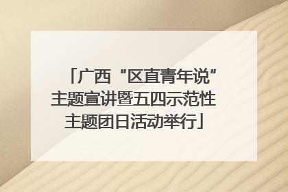 广西“区直青年说”主题宣讲暨五四示范性主题团日活动举行
