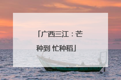 广西三江：芒种到 忙种稻