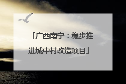 广西南宁：稳步推进城中村改造项目