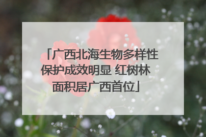 广西北海生物多样性保护成效明显 红树林面积居广西首位