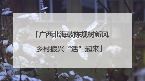 广西北海破陈规树新风 乡村振兴“活”起来