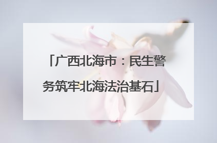 广西北海市：民生警务筑牢北海法治基石