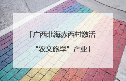 广西北海赤西村激活“农文旅学”产业