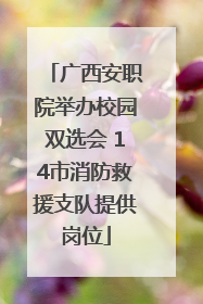 广西安职院举办校园双选会 14市消防救援支队提供岗位