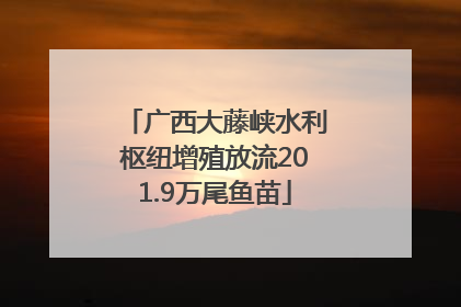 广西大藤峡水利枢纽增殖放流201.9万尾鱼苗