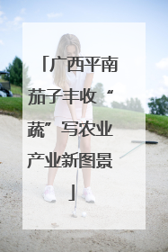 广西平南茄子丰收“蔬”写农业产业新图景