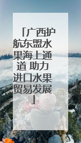 广西护航东盟水果海上通道 助力进口水果贸易发展