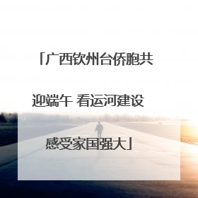 广西钦州台侨胞共迎端午 看运河建设感受家国强大