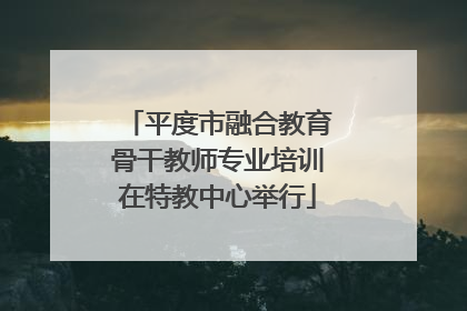 平度市融合教育骨干教师专业培训在特教中心举行