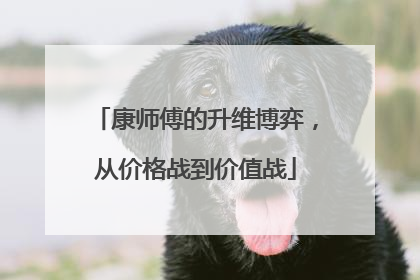 康师傅的升维博弈，从价格战到价值战