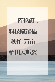 库伦旗：科技赋能插秧忙 万亩稻田展新姿