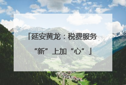 延安黄龙：税费服务“新”上加“心”