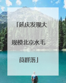 延庆发现大规模北京水毛茛群落