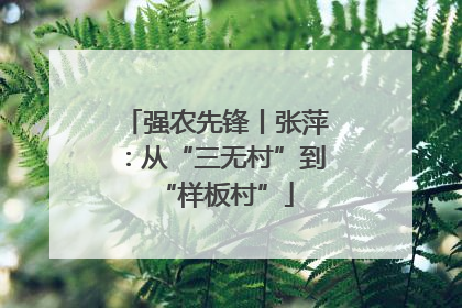 强农先锋丨张萍：从“三无村”到“样板村”
