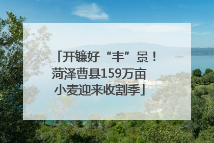 开镰好“丰”景！菏泽曹县159万亩小麦迎来收割季
