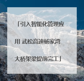 引入智能化管理应用 武松高速杨家湾大桥架梁提前完工
