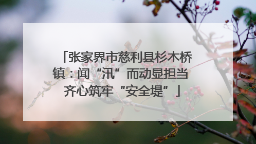 张家界市慈利县杉木桥镇：闻“汛”而动显担当 齐心筑牢“安全堤”
