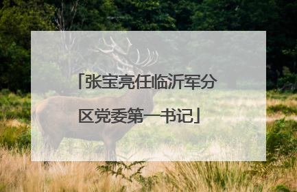 张宝亮任临沂军分区党委第一书记