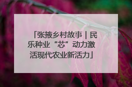 张掖乡村故事｜民乐种业“芯”动力激活现代农业新活力