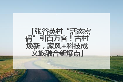 张谷英村“活态密码”引百万客！古村焕新，家风+科技成文旅融合新爆点