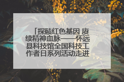 探赜红色基因 赓续精神血脉——怀远县科技馆全国科技工作者日系列活动走进怀远县实验中学