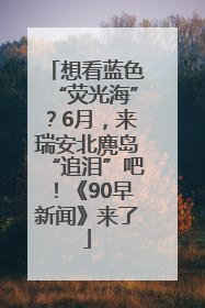 想看蓝色“荧光海”？6月，来瑞安北麂岛“追泪”吧！《90早新闻》来了