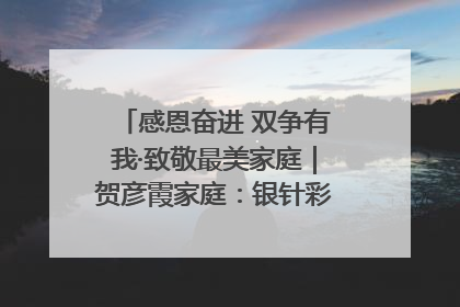 感恩奋进 双争有我·致敬最美家庭｜贺彦霞家庭：银针彩线绣出好日子