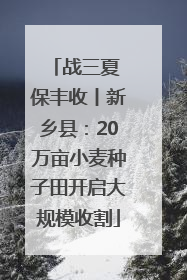战三夏 保丰收丨新乡县：20万亩小麦种子田开启大规模收割