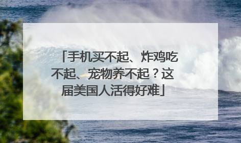 手机买不起、炸鸡吃不起、宠物养不起？这届美国人活得好难