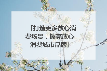 打造更多放心消费场景，擦亮放心消费城市品牌