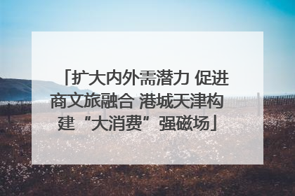 扩大内外需潜力 促进商文旅融合 港城天津构建“大消费”强磁场