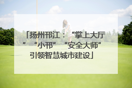 扬州邗江：“掌上大厅”“小邗”“安全大师”引领智慧城市建设