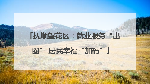 抚顺望花区：就业服务“出圈” 居民幸福“加码”