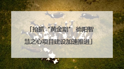 抢抓“黄金期” 德阳智慧之心项目建设加速推进