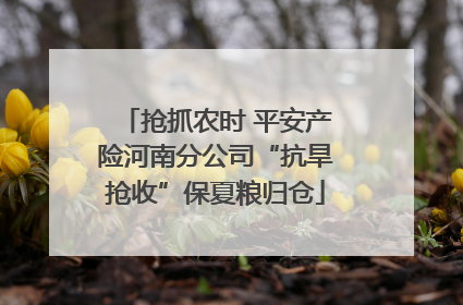 抢抓农时 平安产险河南分公司“抗旱抢收”保夏粮归仓
