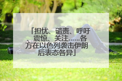 担忧、谴责、呼吁、震惊、关注……各方在以色列袭击伊朗后表态各异