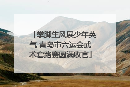 拳脚生风展少年英气 青岛市六运会武术套路赛圆满收官