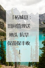 柘城县：田间管理送地头 抗旱保苗保丰收