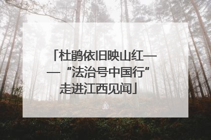 杜鹃依旧映山红——“法治号中国行”走进江西见闻
