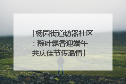 杨园街道纺器社区：粽叶飘香迎端午 共庆佳节传温情