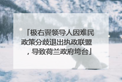 极右翼领导人因难民政策分歧退出执政联盟，导致荷兰政府垮台