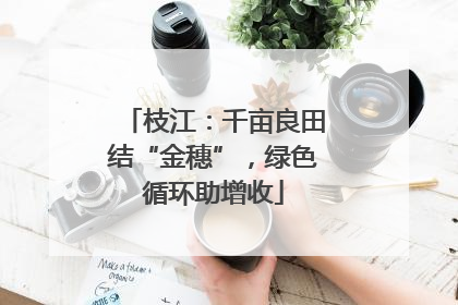 枝江：千亩良田结“金穗”，绿色循环助增收