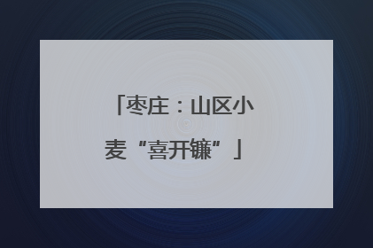 枣庄：山区小麦“喜开镰”
