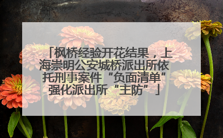 枫桥经验开花结果，上海崇明公安城桥派出所依托刑事案件“负面清单”强化派出所“主防”