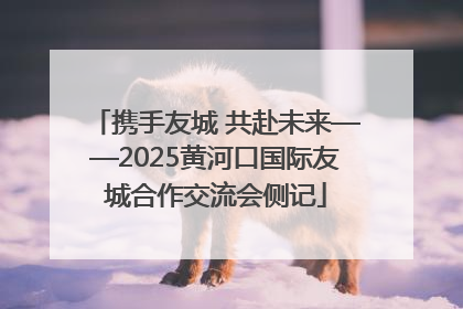 携手友城 共赴未来——2025黄河口国际友城合作交流会侧记